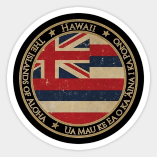 Vintage Hawaii USA United States of America American State Flag Sticker